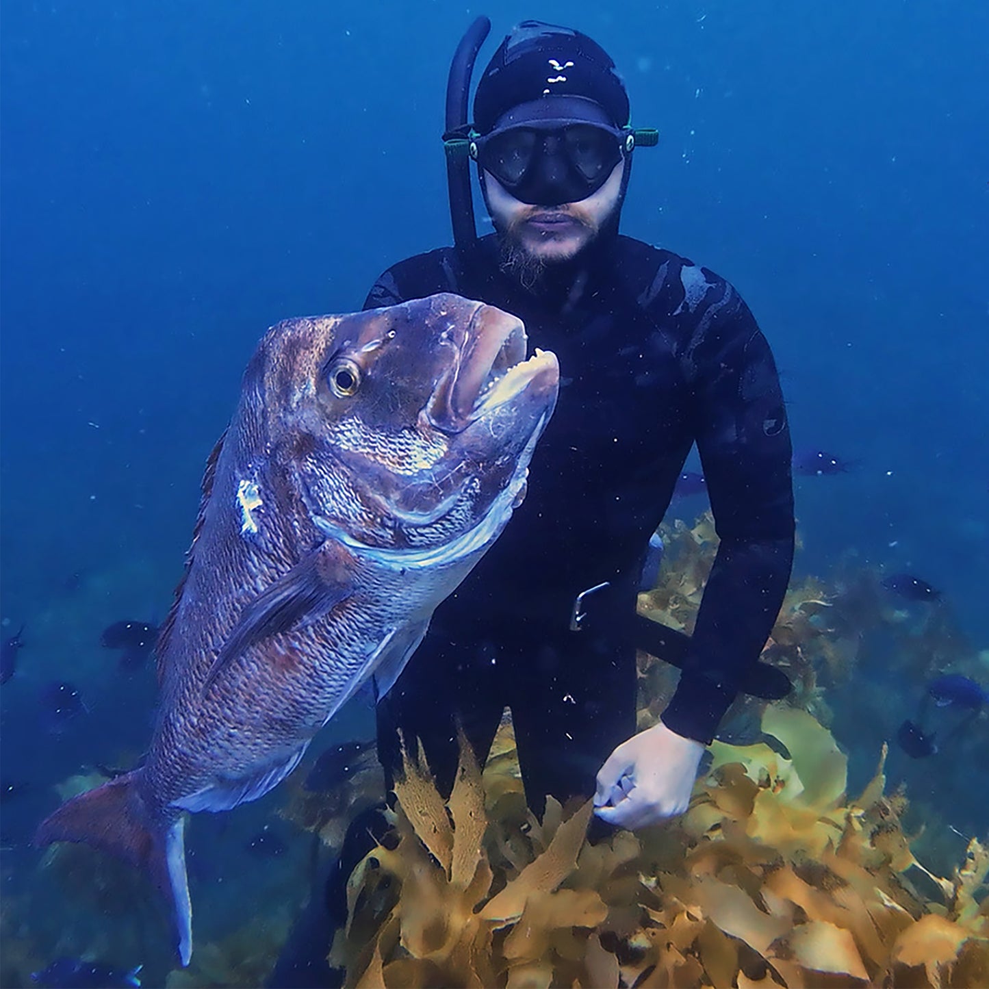 Aquatic Rehab High Performance Spearfishing Wetsuit