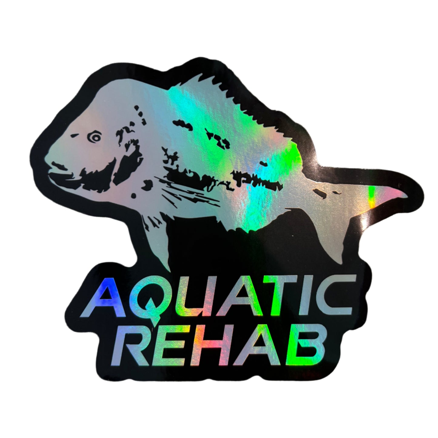 Holographic OG Aquatic Rehab Sticker