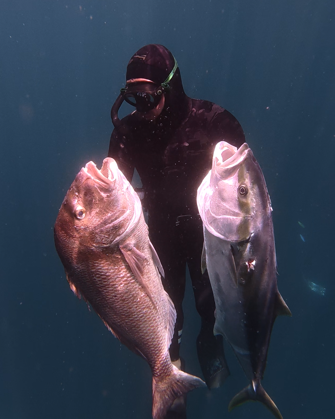 Aquatic Rehab High Performance Spearfishing Wetsuit