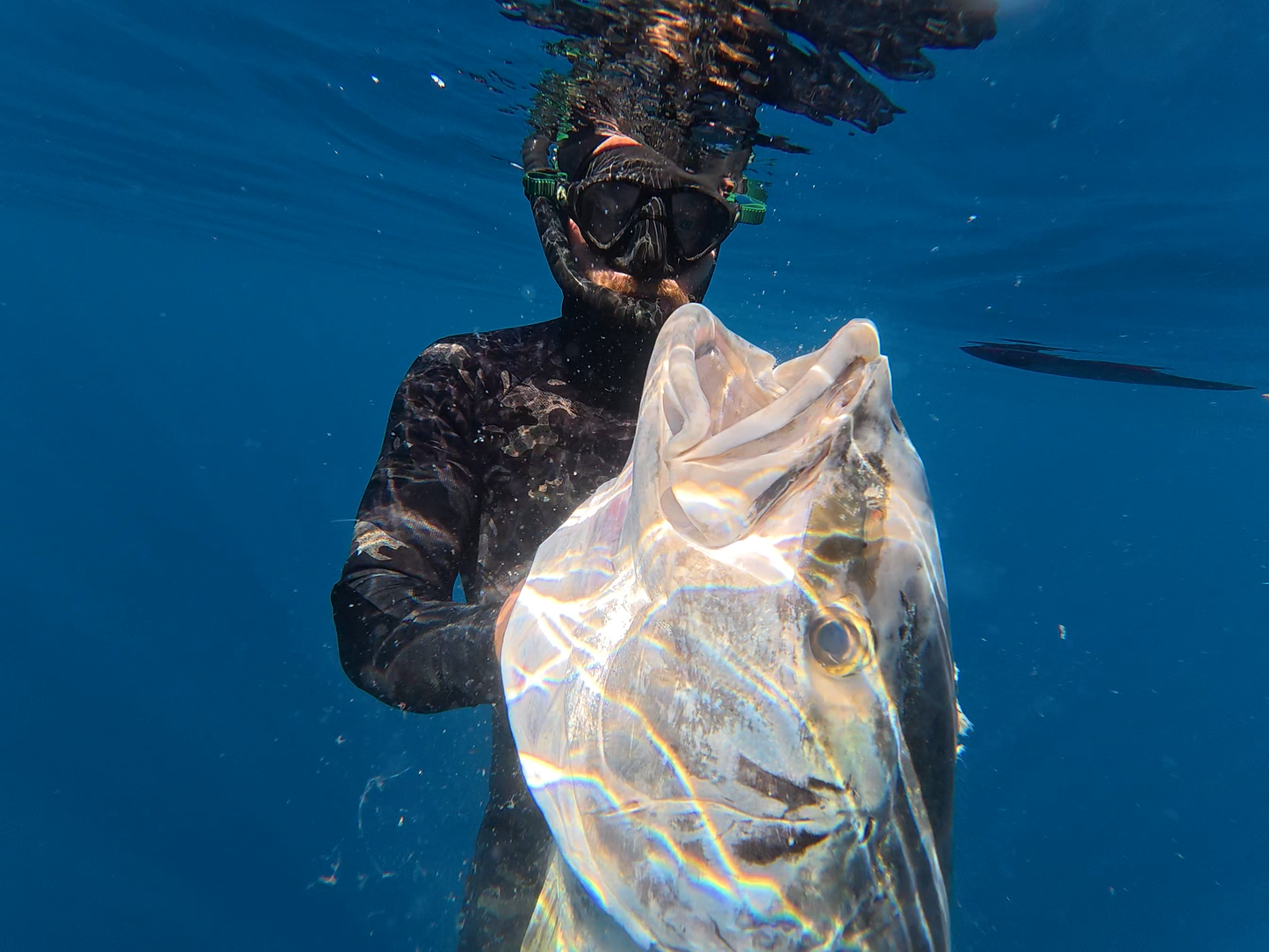 Aquatic Rehab High Performance Spearfishing Wetsuit