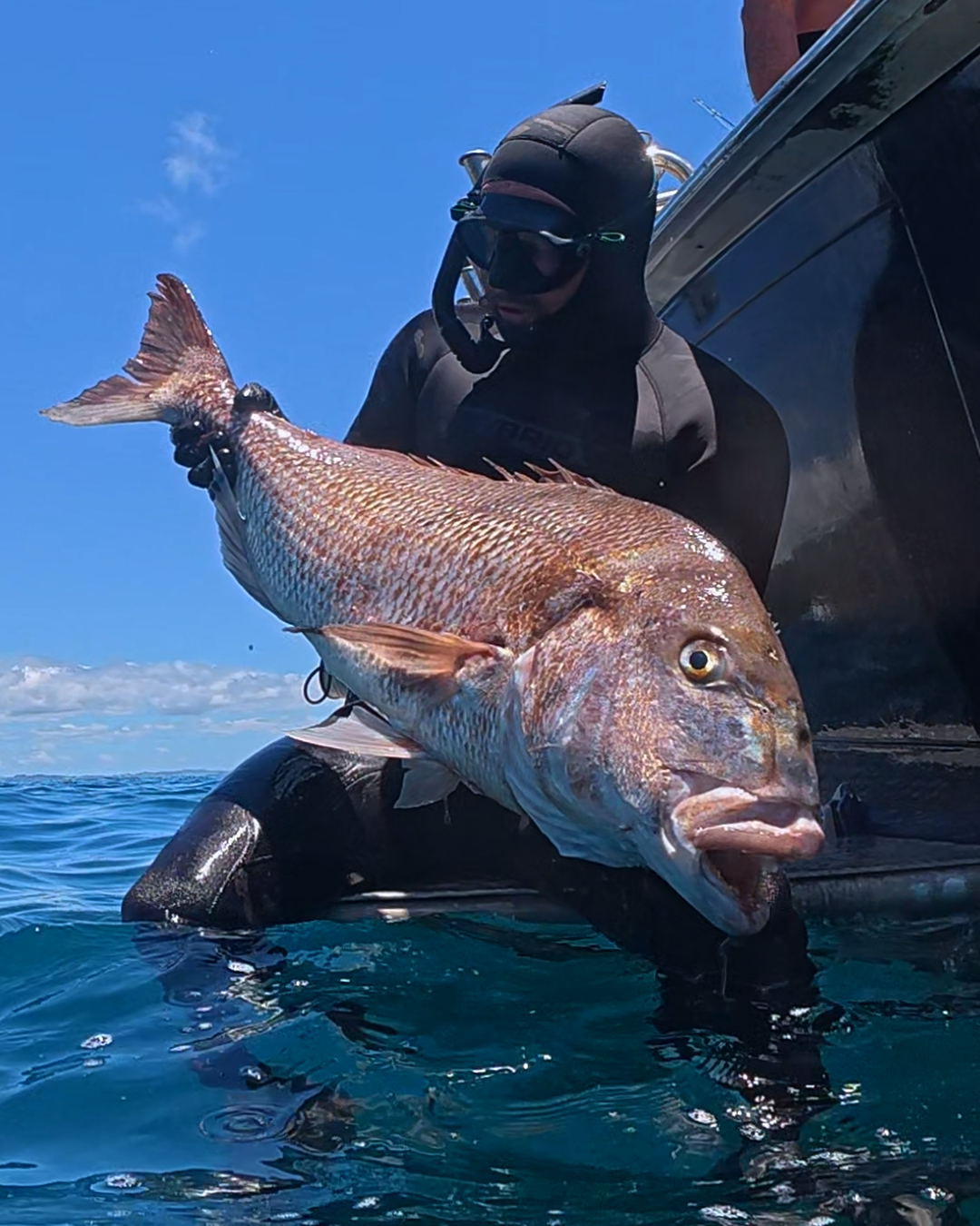 Aquatic Rehab High Performance Spearfishing Wetsuit